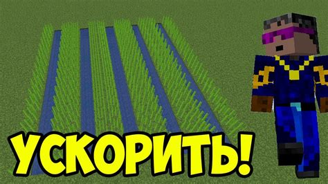 Рост тростника в Minecraft