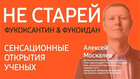 Сенсационные открытия и недопонимания