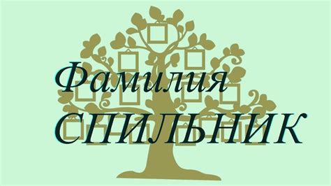 Середа фамилия: история и происхождение