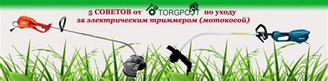 Советы по уходу за триммером