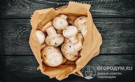 Срок годности шампиньонов