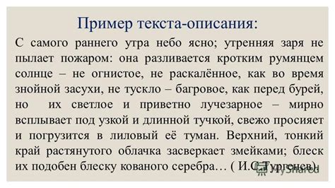 Тексты и текстовые произведения