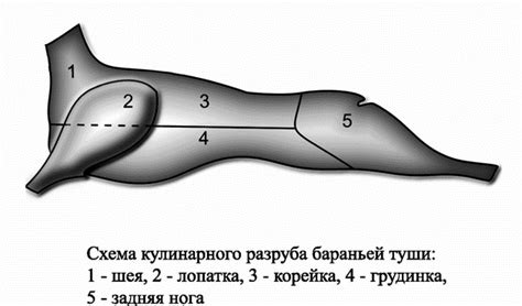 Толкование сна о разделке сырого мяса кролика