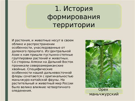 Унаследованные особенности смешанного происхождения
