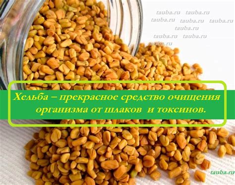 Устранение горечи в пажитнике