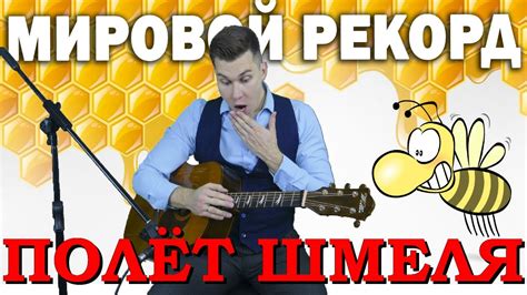 Ухаживаем за гнездом шмеля