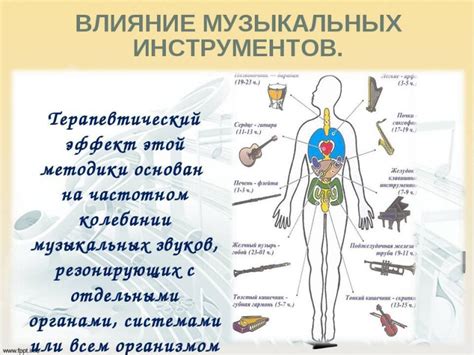 Факты о влиянии на организм