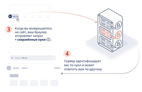Что такое сенолитики и как они действуют