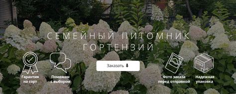 Шаг за шагом в Лайке