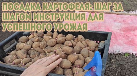Шаг за шагом инструкция: