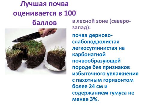 Экологические аспекты выращивания