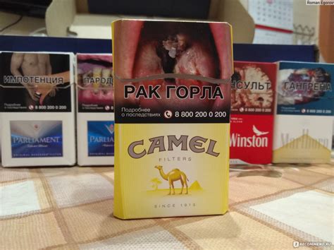 Camel Filters: классика в мире сигарет
